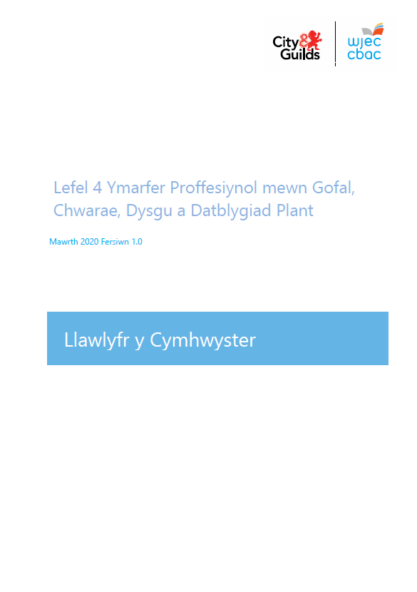 8041-17 L4_CCPLD Professional Practice_Qualification Specification_Welsh v1.1_